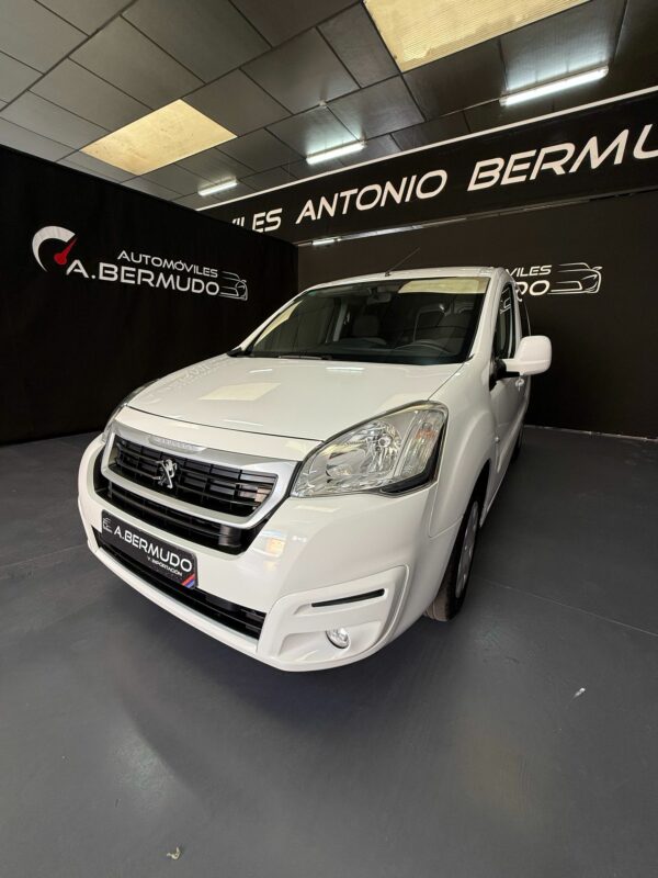 PEUGEOT PARTNER TEPEE ACCESS 1, 1.6 BLUEHDI, 100 CV - Imagen 20