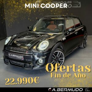 MINI COOPER S 2.0, 192 CV