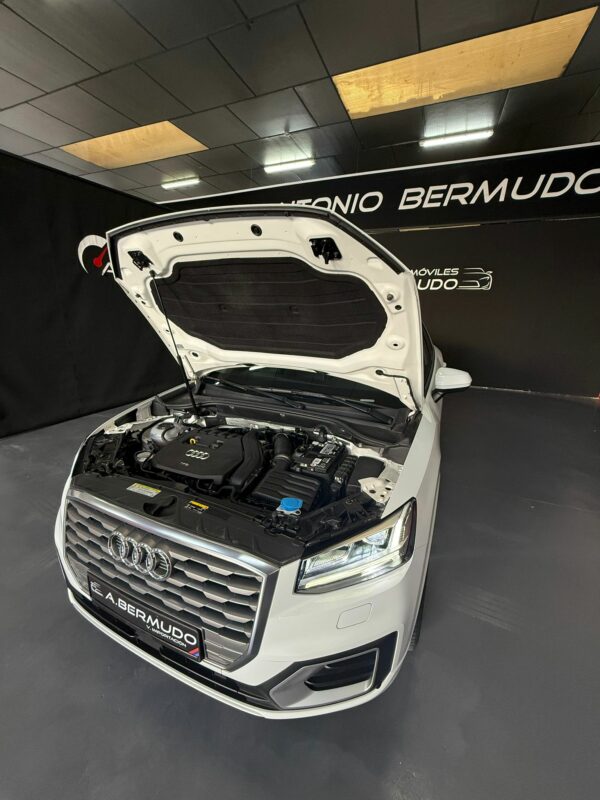AUDI Q 2 1.5 DESING EDITION, 150 CV - Imagen 19