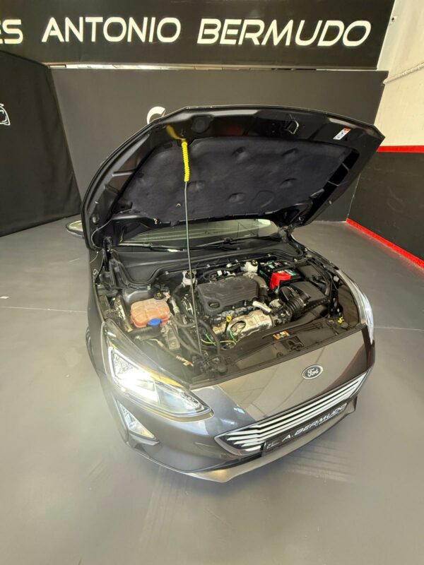 FORD FOCUS ACTIVE1.5 ECOBLUE, 120 CV - Imagen 22