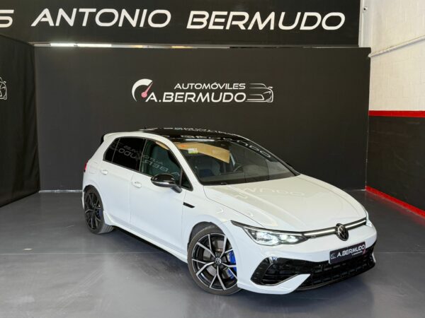 VOLKSWAGEN GOLF 2.0 GTI, 320 CV