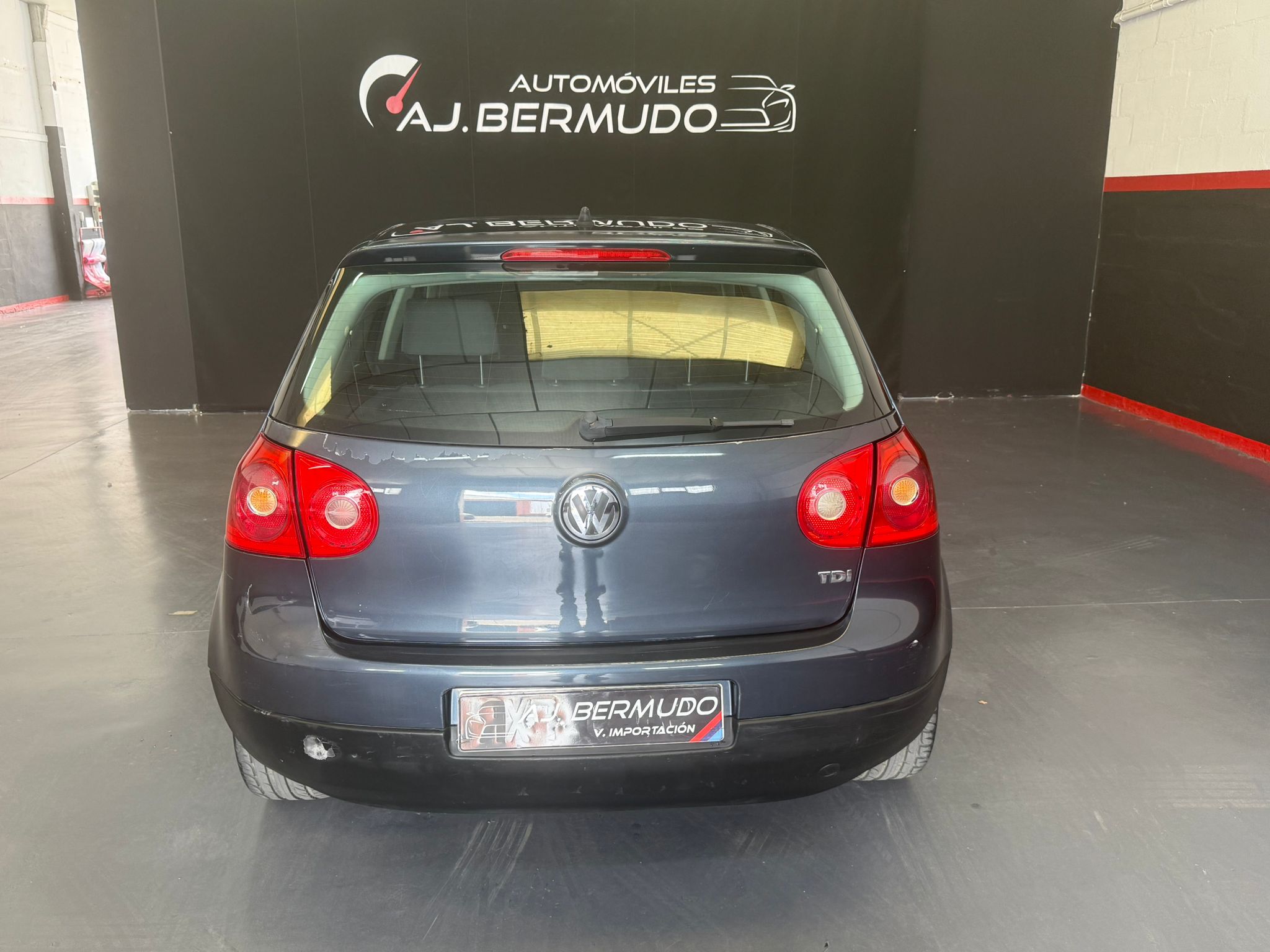 VOLKSWAGEN GOLF 1.9 TDI, 105 CV - Imagen 5